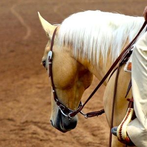 🐴 Copper spoon curb roller bit- custom made!